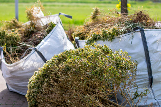 Best Appliance Removal Near Me  in Tucson Estates, AZ